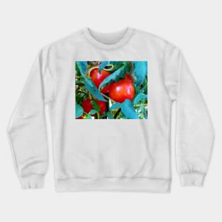 Ripe Red Tomatoes Crewneck Sweatshirt